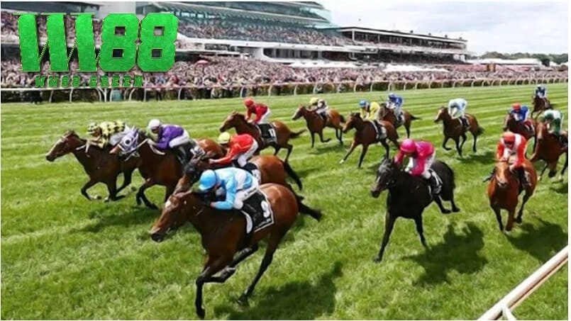 Những lợi ích khi cá cược đua ngựa