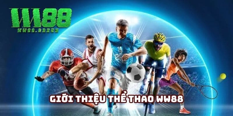 Cái nhìn toàn diện về thể thao ww88